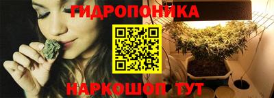 прущие крисы Гай