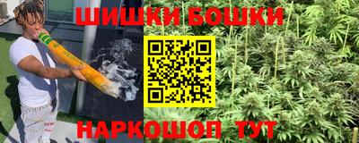 прущие крисы Гай